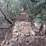 Agriturismo Amandolo מלון