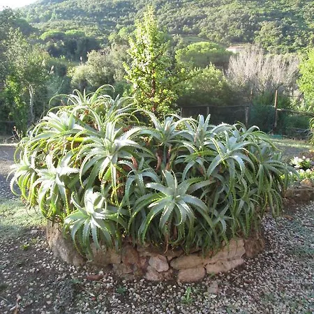 酒店 Agriturismo Amandolo *