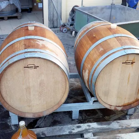酒店 Agriturismo Amandolo *