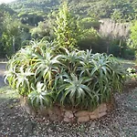 호텔 Agriturismo Amandolo *