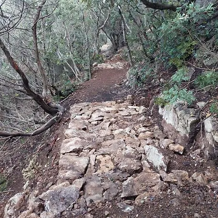 Agriturismo Amandolo מלון